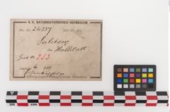 Etiketten zu Eisenband (NHMW-PRAE-024557)